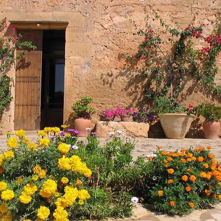 Finca Sa Cova Vella Manacor  Buitenkant foto