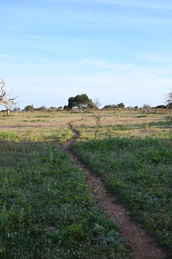 Finca Sa Cova Vella Manacor  Buitenkant foto