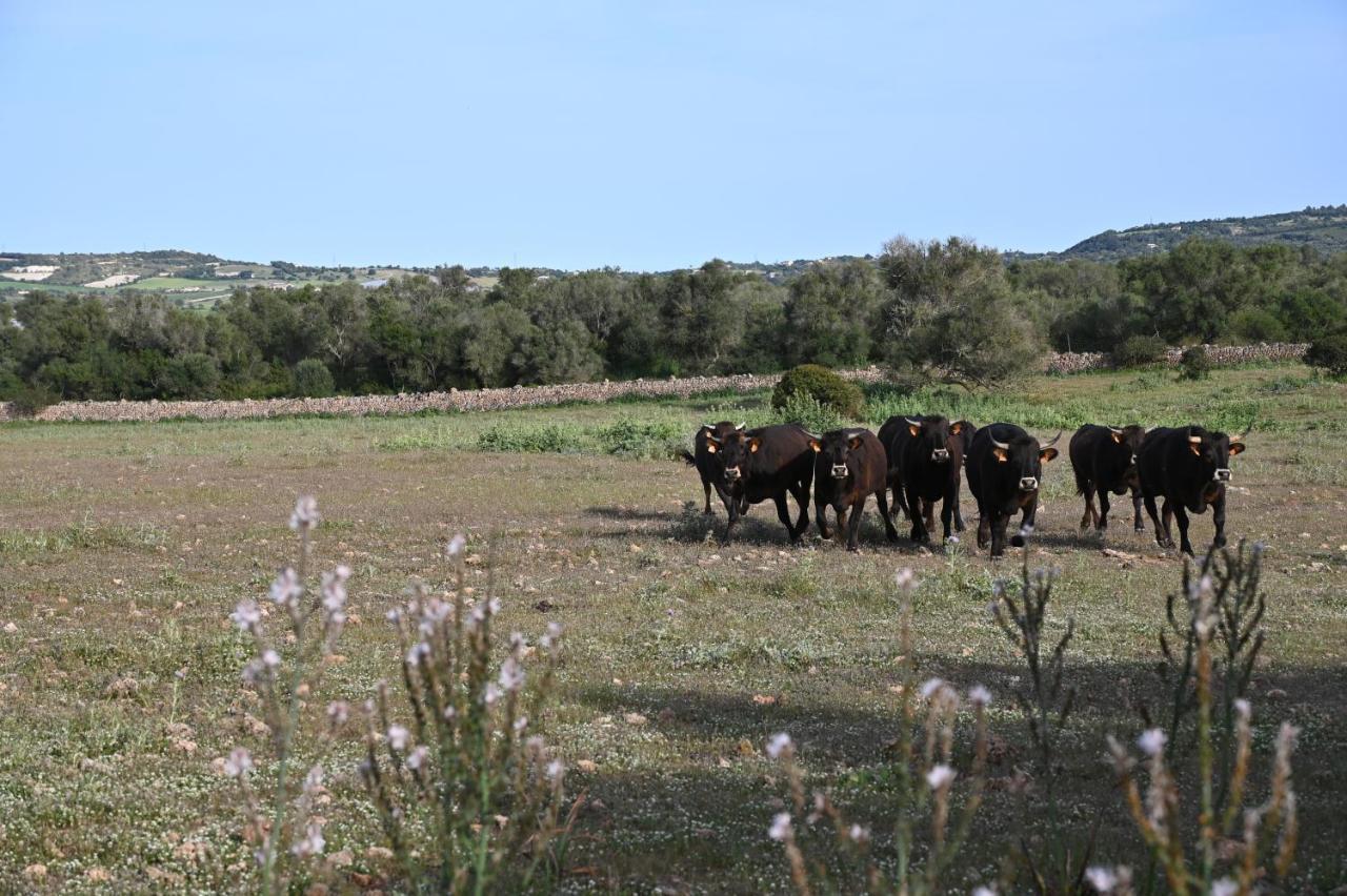 Finca Sa Cova Vella Manacor  Buitenkant foto