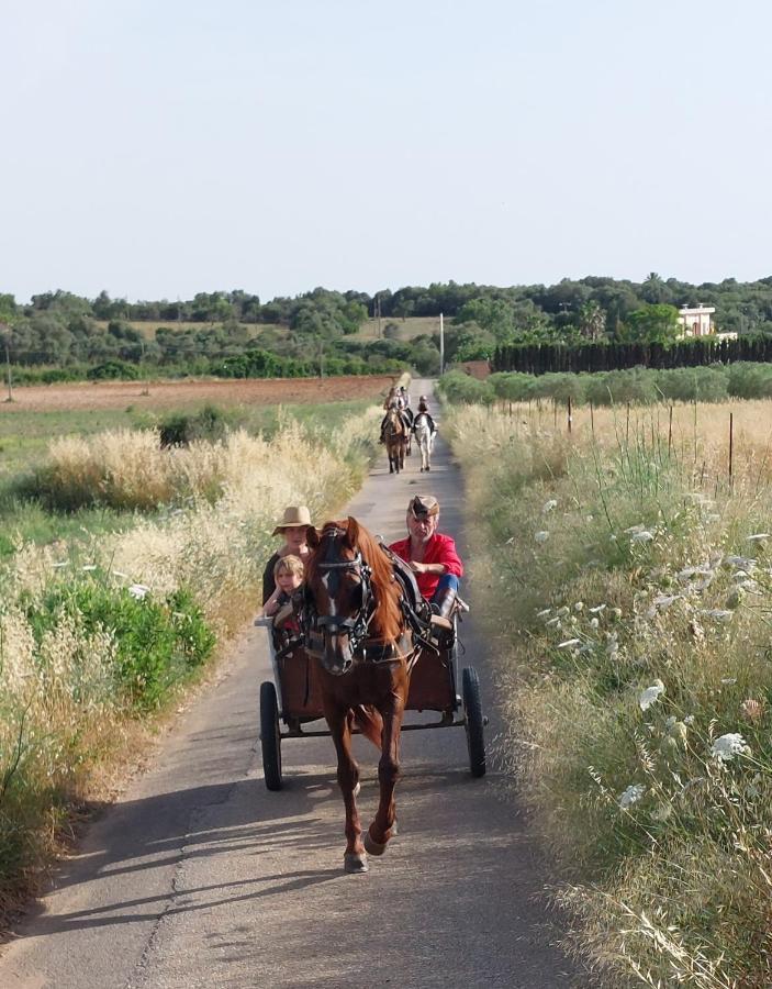 Finca Sa Cova Vella Manacor  Buitenkant foto