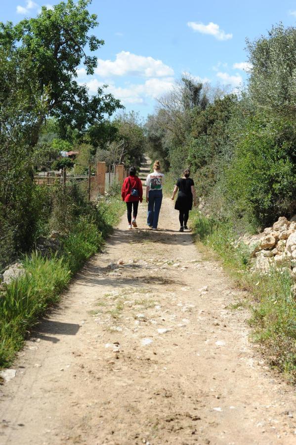 Finca Sa Cova Vella Manacor  Buitenkant foto