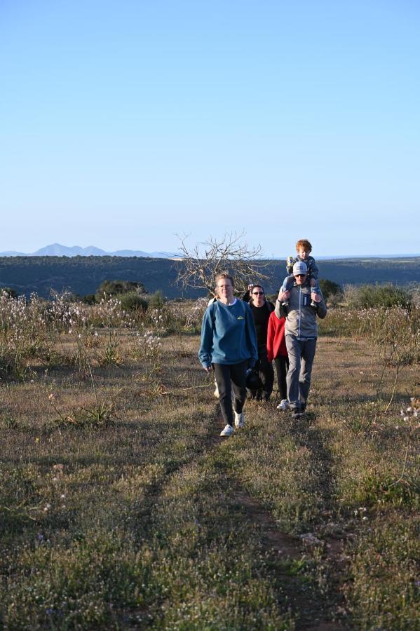 Finca Sa Cova Vella Manacor  Buitenkant foto