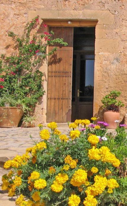 Finca Sa Cova Vella Manacor  Buitenkant foto