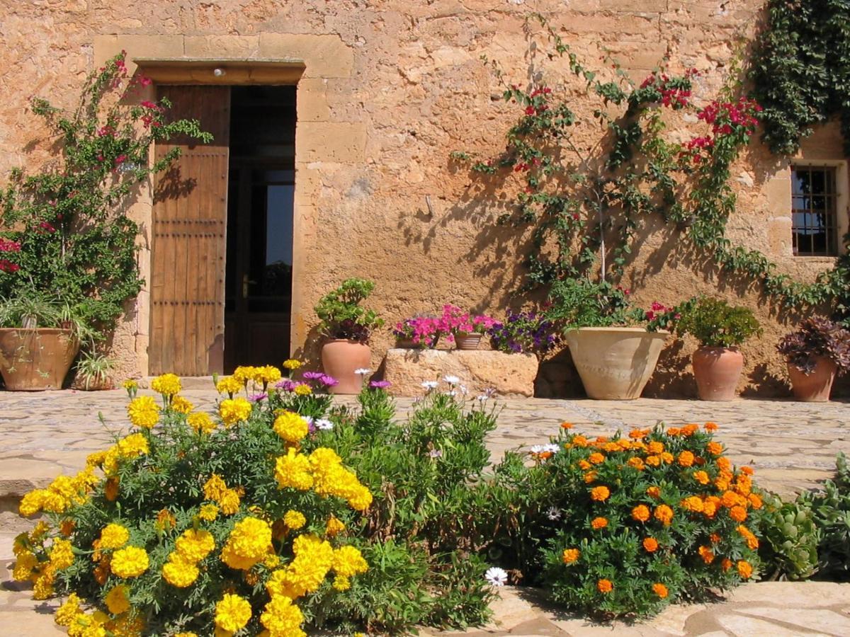 Finca Sa Cova Vella Manacor  Buitenkant foto