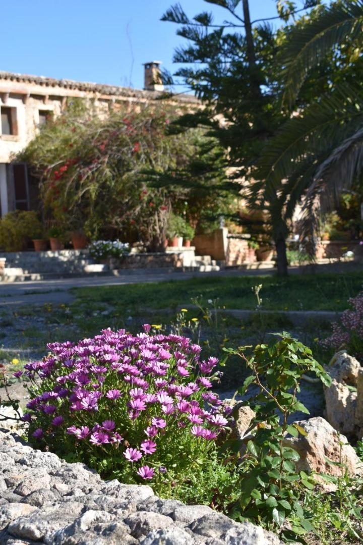 Finca Sa Cova Vella Manacor  Buitenkant foto
