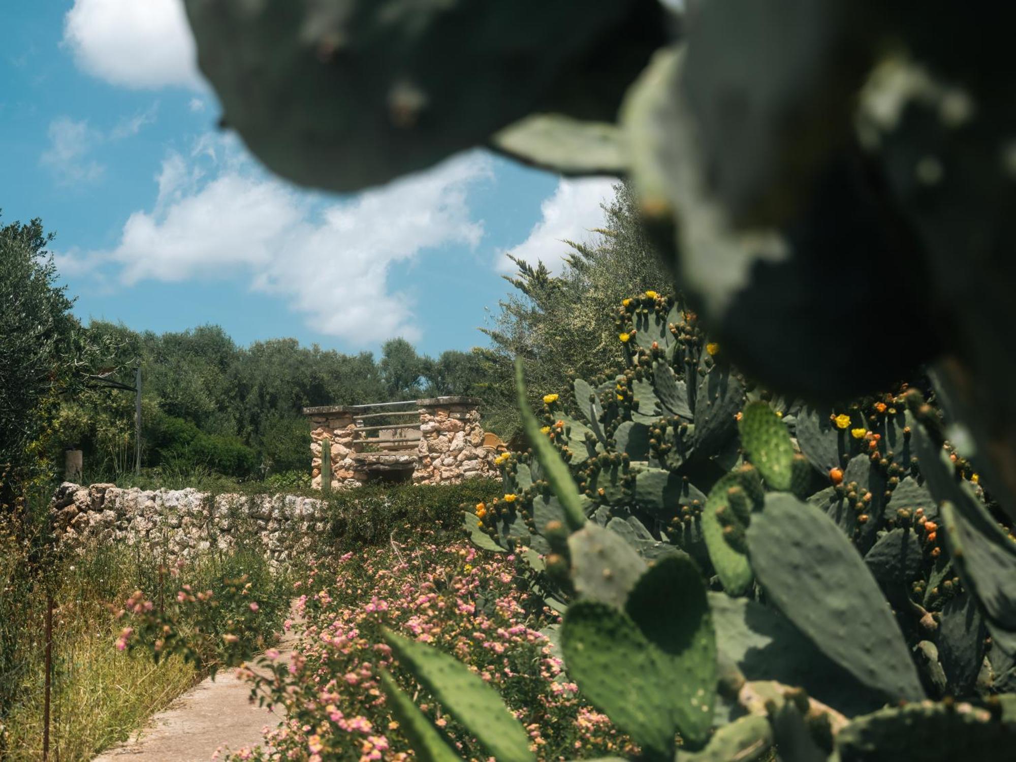 Finca Sa Cova Vella Manacor  Buitenkant foto