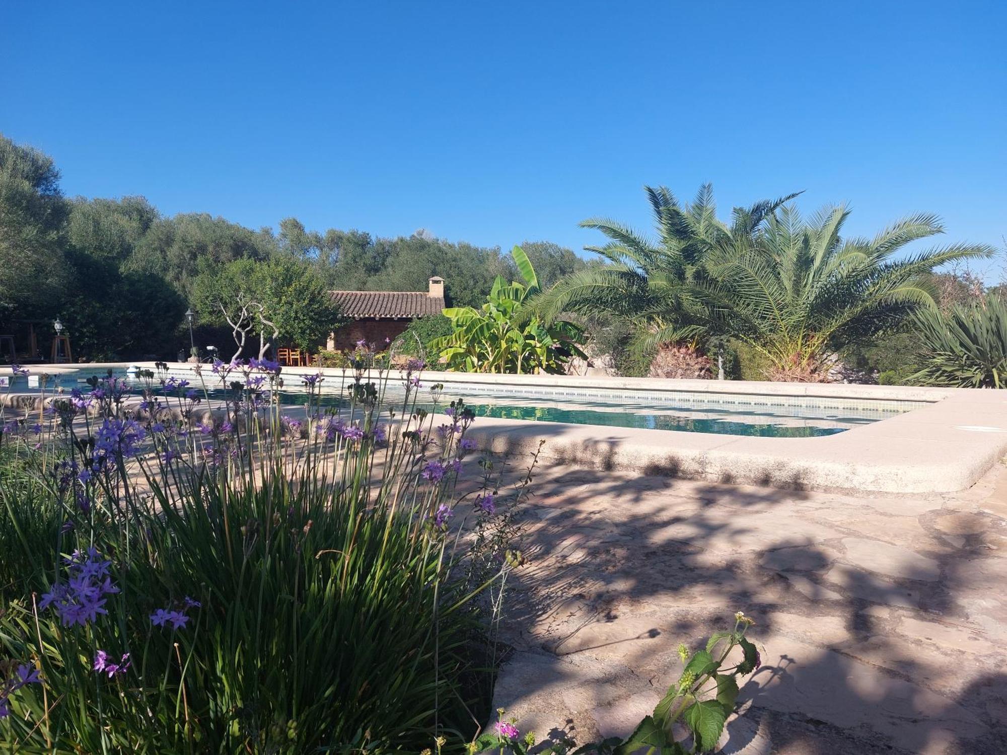 Finca Sa Cova Vella Manacor  Buitenkant foto