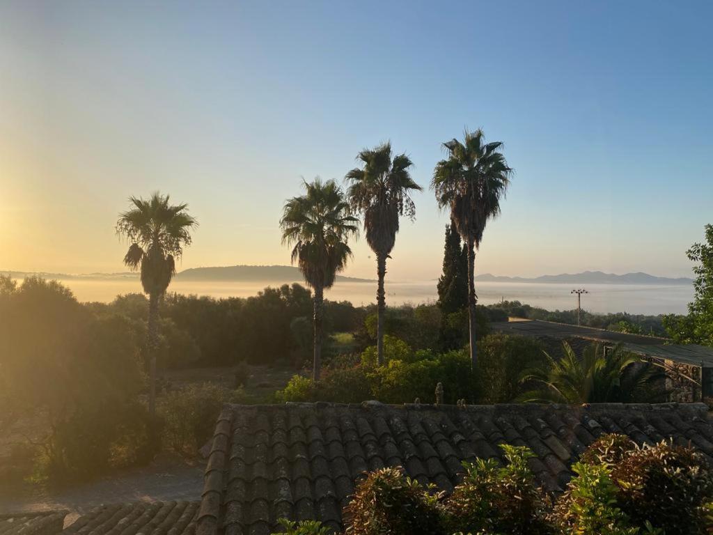 Finca Sa Cova Vella Manacor  Buitenkant foto
