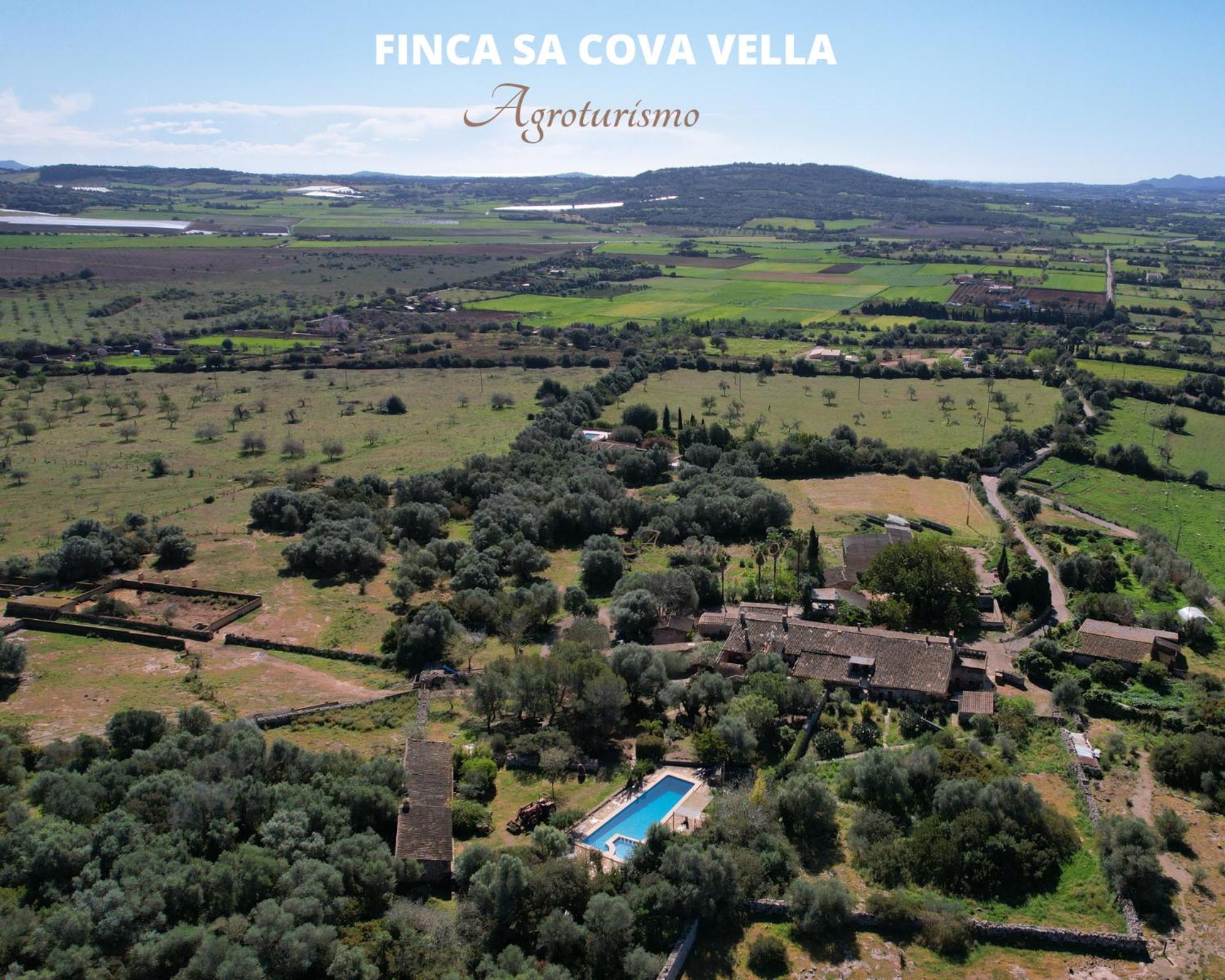 Finca Sa Cova Vella Manacor  Buitenkant foto