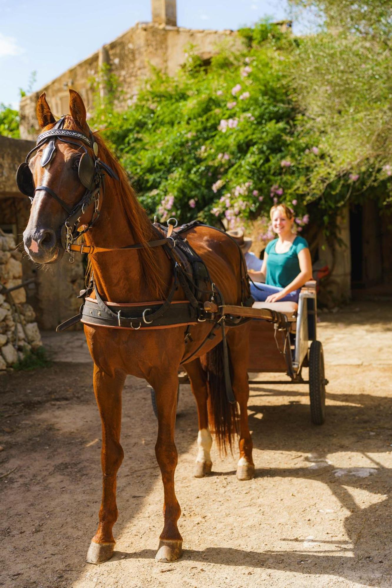 Finca Sa Cova Vella Manacor  Buitenkant foto