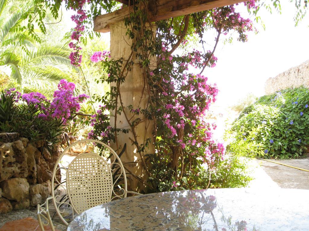 Finca Sa Cova Vella Manacor  Buitenkant foto